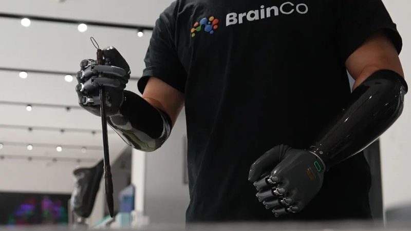 数据湖与AI平台：优缺点解析与实际应用考量